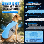 Dinalfy™ Cooling Vest