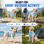 Dinalfy™ Cooling Vest