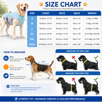 Dinalfy™ Cooling Vest