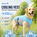 Dinalfy™ Cooling Vest